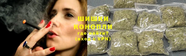 мдпв Гусь-Хрустальный