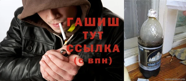 трава Гусиноозёрск