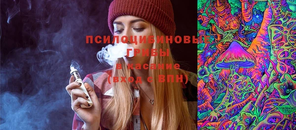 мдпв Гусь-Хрустальный