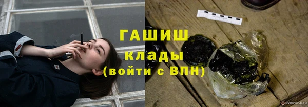 мдпв Гусь-Хрустальный
