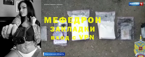 трава Гусиноозёрск
