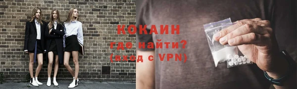 трава Гусиноозёрск