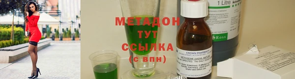 трава Гусиноозёрск