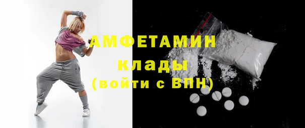 трава Гусиноозёрск