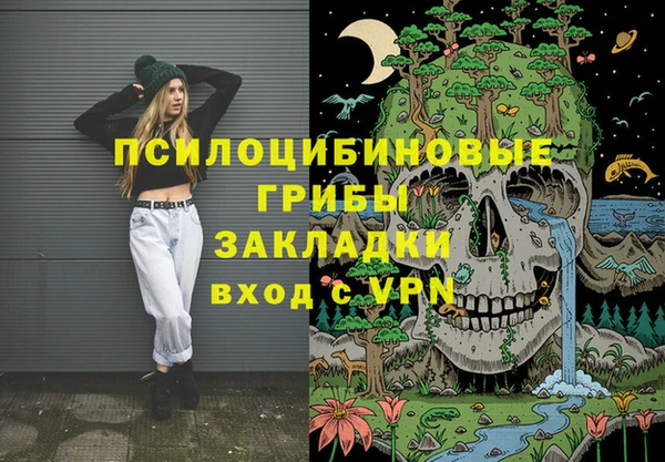 соль ск Гусев