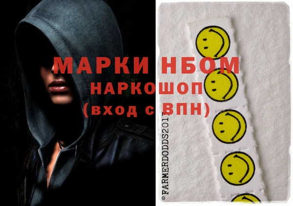 соль ск Гусев