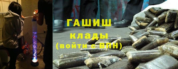 мдпв Гусь-Хрустальный