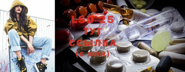 соль ск Гусев