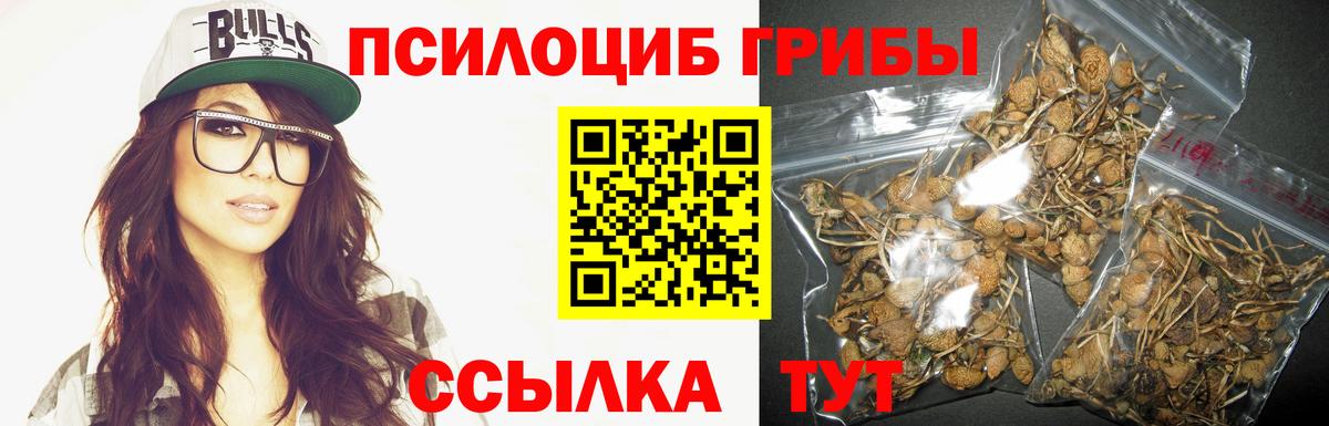 Галлюциногенные грибы ЛСД  Псилоцибиновые грибы Cubensis  Вход с VPN  Мценск 